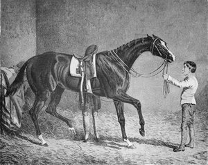 Koningin van Troeven, 1832-1843, 1911