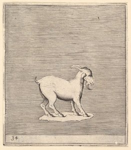 Ram