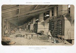 Grondstoffenverwerking, Metallurgie Ovens in de zinkfabriek, St Leonard, Luik, België