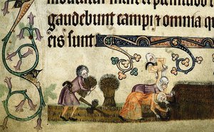 Maaien en schoven binden uit de Luttrell Psalter, ca 1330 door Unbekannt