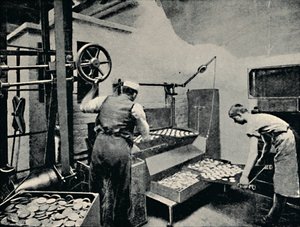 Koekjes uit de oven halen door Unbekannt