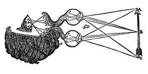 Rene Descartes idee van visie, toont de functie van het oog, de oogzenuw en de hersenen, 1692 door Unbekannt