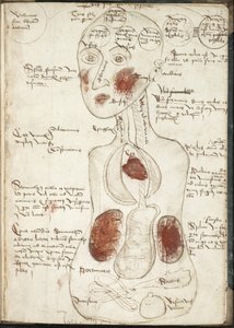 Weergave van een Aristoteliaanse Theorie van Bewustzijn Uit: De corpore et anima door Unbekannt