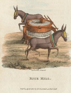 Rijstmolen, 1813 door Unbekannt