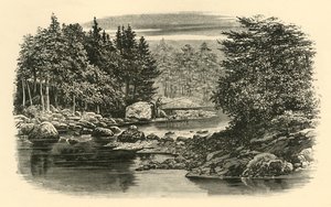 Rivierscène, Langdale, c1890 door Unbekannt