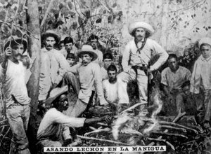 Varken roosteren in de jungle, Cuba