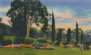 Rotsentuin, Trinidad, B.W.I., ca. 1940s