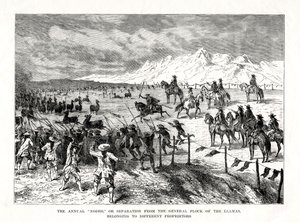 Rodeo, Zuid-Amerika, 1877