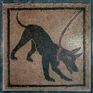 Romeins mozaïek van een hond, 1e eeuw door Unbekannt