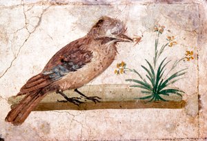 Romeinse muurschildering van een Vlaamse gaai uit Boscoreale bij Pompeii, 1e eeuw door Unbekannt