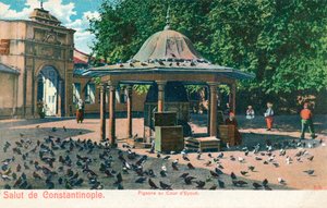 Salut de Constantinople - Duiven in de binnenplaats van Eyoub, ca. 1900 door Unbekannt