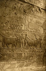 Saqqara - Graf van Ptahotep - Muurschildering, ca. 1918-ca. 1939 door Unbekannt