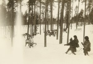 Zweden. Samen bij het vangen van een rendier. Omstreeks 1900