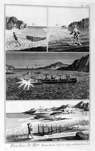 Zeevissen, 1751-1777 door Unbekannt