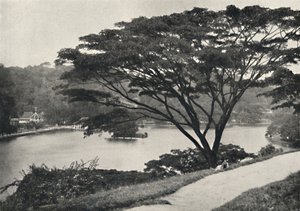 Meer, Tempel van de Heilige Tand en Bibliotheek in Kandy, gezien vanaf de Victoria-Drive naar het oosten, 192 door Unbekannt
