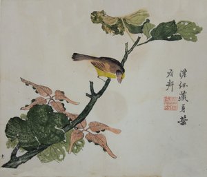 Zaden en Aleurites Cordata: Pagina uit The Mustard Seed Garden Manual of..., 1782, 2e editie