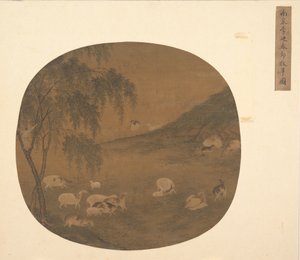 Schapen en Herderjongen