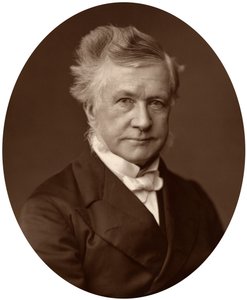 Sir Robert Lush, rechter van het Hooggerechtshof, 1881 door Unbekannt