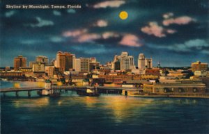 Skyline bij maanlicht, Tampa, Florida