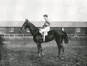Wolkenkrabber, 1911