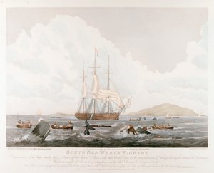 Zuidzee Walvisvangst, 1825 door Unbekannt
