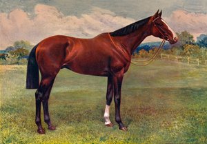 Munt, ca. 1905-1910