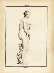 Beeld van Venus, Romeinse godin van liefde, schoonheid, seks en vruchtbaarheid door Unbekannt