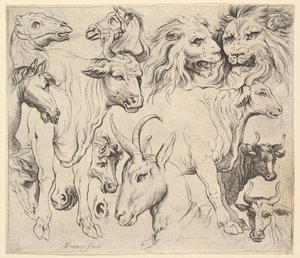 Studies van Hoofden