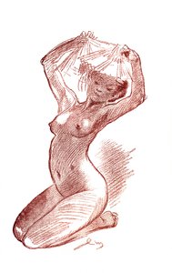 Studie, 1901