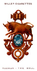 Stier, 1923 door Unbekannt