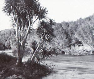 Te Waihou Rivier, Okoroire