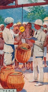 Thee, 2. - Het wegen van de pluk, Ceylon