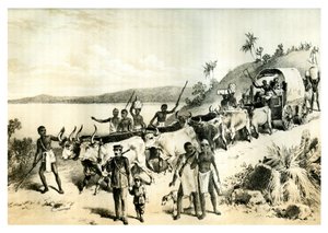 De aankomst bij Lake Ngami, 1883 door Unbekannt