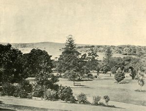 De Botanische Tuinen van Sydney, 1901