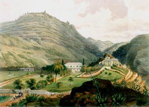 The Briars, St. Helena, begin 19e eeuw, 1851