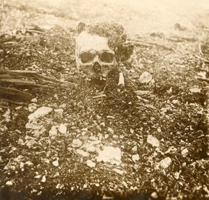 De kroonprins, Verdun, Noord-Frankrijk, 1916