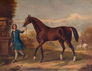 De Darley Arabian, ca. 1720, 1922