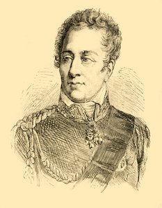 De Hertog van Wellington