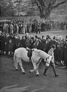 Het lege zadel: het witte pony van koning George, Jock, wordt in processie geleid, 1936