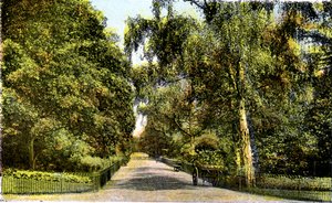 De Bloemenwandeling, Kensington Gardens, Londen door Unbekannt