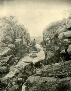 De kloof, Buffalo Falls, Victoriaanse Alpen, 1901 door Unbekannt