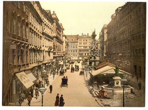 De Graben, Wenen