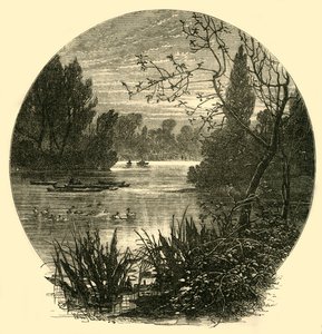 Het meer, Battersea Park, c1878