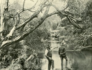 De Lancering Plaats, Upper Yarra, Victoria, 1901 door Unbekannt