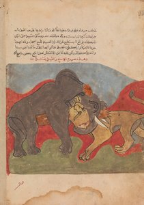 De Leeuw en de Olifant Vechten, Folio uit een Kalila wa Dimna, 18e eeuw door Unbekannt