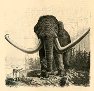 De Mammoet van Sint-Petersburg, 1883
