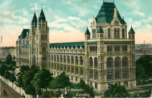 Het Nationaal Historisch Museum, Londen, ca. 1910 door Unbekannt