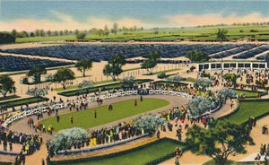 De Paddock bij Santa Anita, Los Angeles Turf Club, Arcadia, Californië, 1930s door Unbekannt