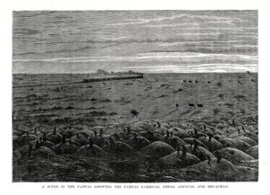 De Pampas-spoorweg, Zuid-Amerikaanse laaglanden