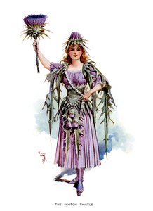 De Schotse distel, 1899 door Unbekannt